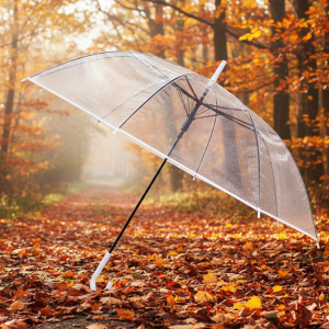 Umbr-L-08-White ―  "Сумкины Дети"