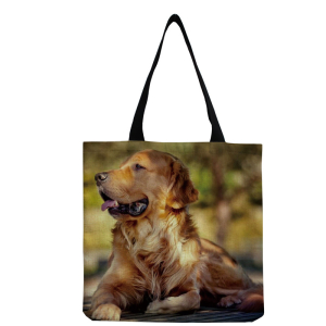 Rui-2513 ―  "Сумкины Дети"