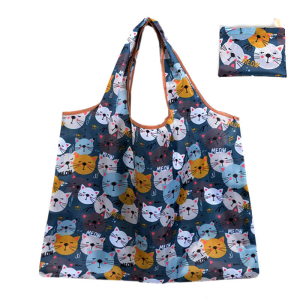 OB-5004/301 ―  "Сумкины Дети"