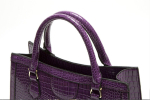 A/N-5887-Purple