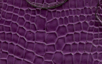 A/N-5887-Purple