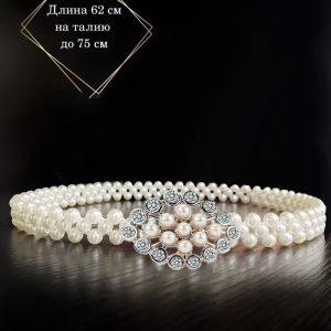 BL-Z284-2 ―  "Сумкины Дети"