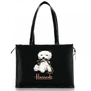 FERRO-101 ―  "Сумкины Дети"