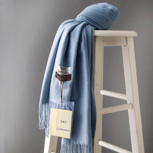 NUC-SKY-25 ―  "Сумкины Дети"