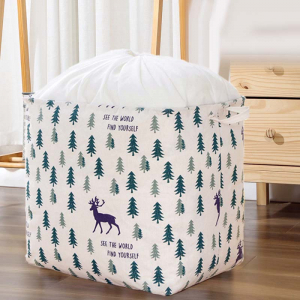 OB-321/2 ―  "Сумкины Дети"