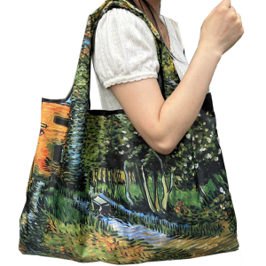 OB-5004/256 ―  "Сумкины Дети"