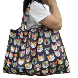 OB-5004/262 ―  "Сумкины Дети"