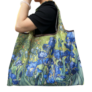 OB-5004/263 ―  "Сумкины Дети"