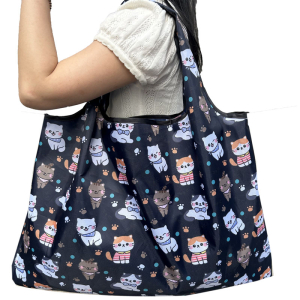 OB-5004/271 ―  "Сумкины Дети"