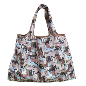 OB-5004/091 ―  "Сумкины Дети"