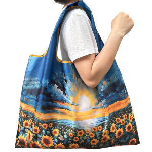 OB-5004/250 ―  "Сумкины Дети"