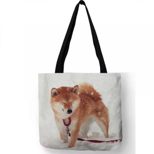 Rui-171 ―  "Сумкины Дети"