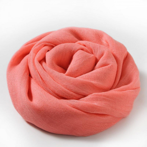 SCF/4-23 ―  "Сумкины Дети"