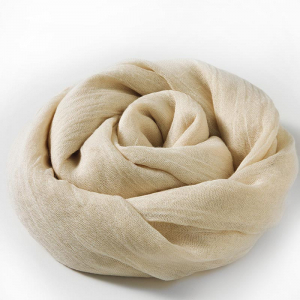 SCF/4-06 ―  "Сумкины Дети"