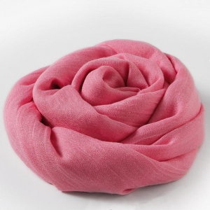 SCF/4-17 ―  "Сумкины Дети"