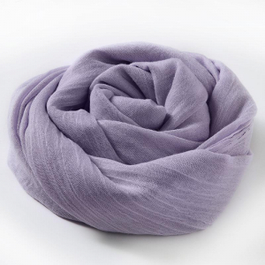 SCF/4-13 ―  "Сумкины Дети"