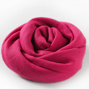 SCF/4-19 ―  "Сумкины Дети"