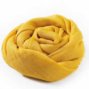 SCF/4-51 ―  "Сумкины Дети"