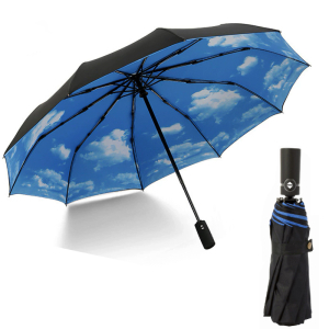 Umbr-352-Clouds ―  "Сумкины Дети"