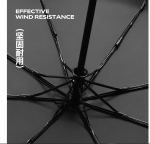 Umbr-380-Ortensia-PP