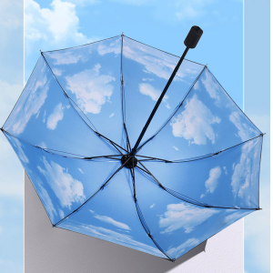 Umbr-H-110/1 ―  "Сумкины Дети"